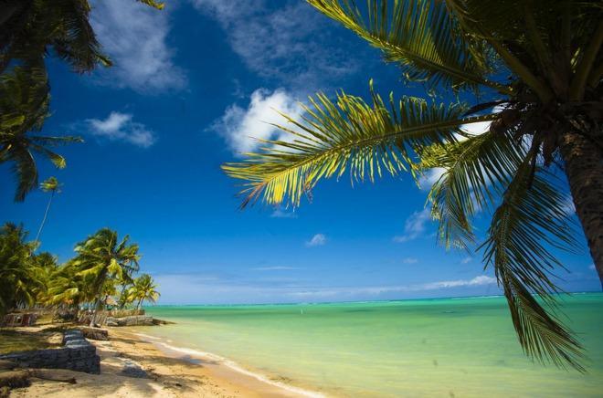 Apartamento Jtr Mexico 809 Apartamento Maceió